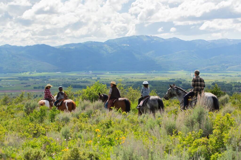 A group of people riding horses through tall grass and bushes dotted with wildflowers at Linn Canyon Ranch.
