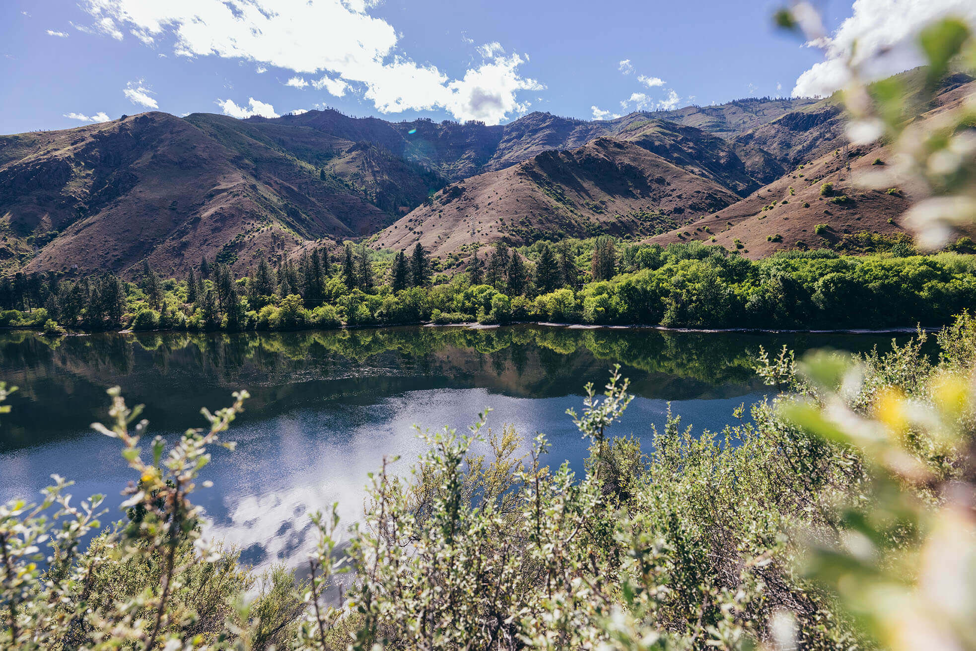 A view of the Big Bar Camping Area on the Snake River surrounded by trees and Hells Canyon.